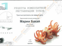 Сертификат врача стоматолога, протоколы лечения на каждый день